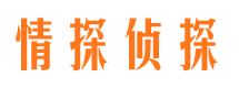 五莲侦探公司